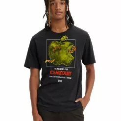 LEVI'S Teacher's Pet Relaxed Fit Tee