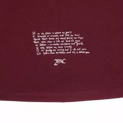 THE NORTH FACE TNF Best Life Beanie