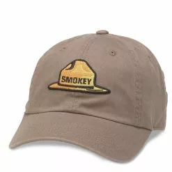 AMERICAN NEEDLE Smokey Ballpark Hat